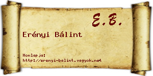 Erényi Bálint névjegykártya